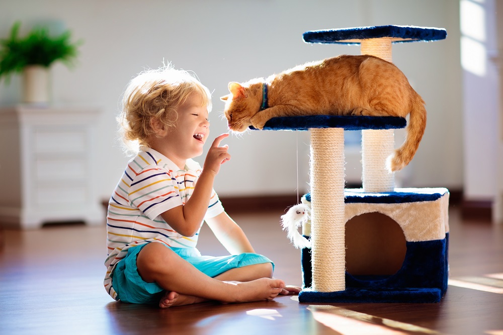 Dziecko bawiące się z kotem