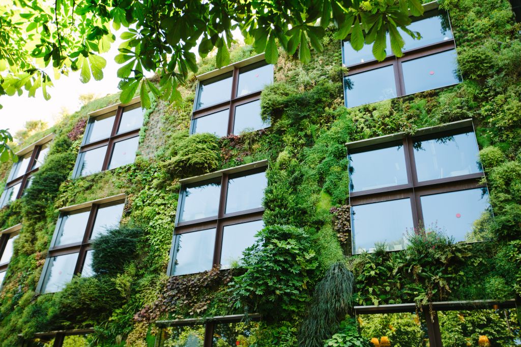 Koncepcja zielonej ekologicznej architektury.