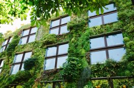 Poradnik eko-mieszczucha: jak żyć ekologicznie w mieście?