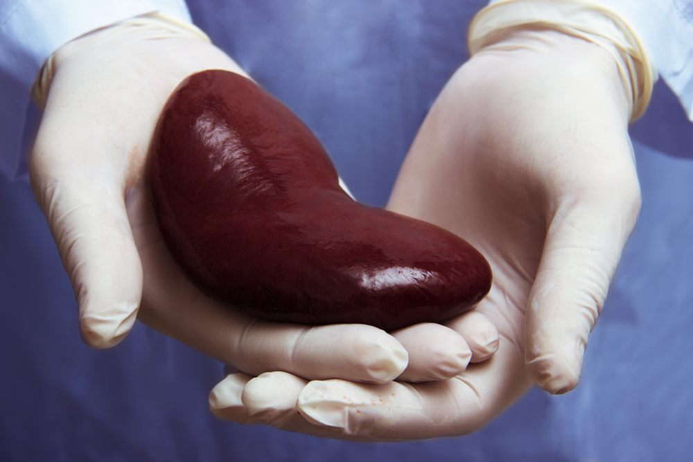 narządy-przeszczep-organów-transplantologia