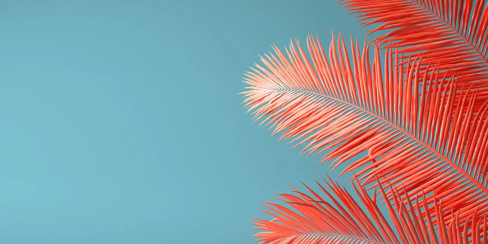 Living Coral - Dwa oblicza rafy koralowej - Pantone wskazuje trendy 6 Liść palmowy w kolorze Living Coral