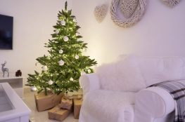 Poznajmy się – choinka świąteczna z najnowszej kolekcji FairyTrees 2020