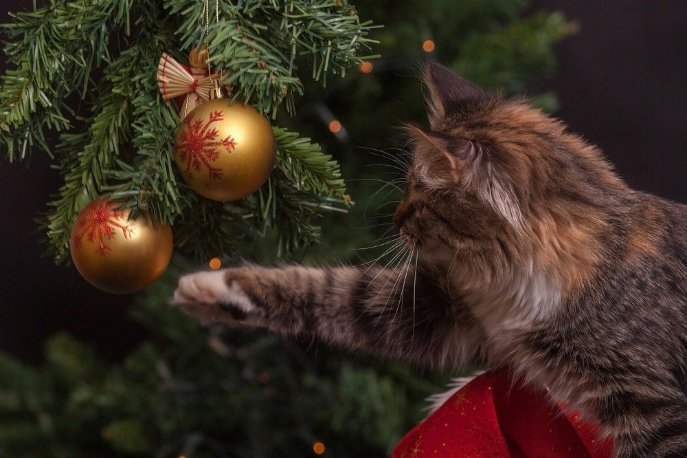 Wszystko, co chciałbyś wiedzieć o choinkach sztucznych FairyTrees, ale boisz się zapytać 16 Wszystko, co chciałbyś wiedzieć o choinkach sztucznych FairyTrees, ale boisz się zapytać 16