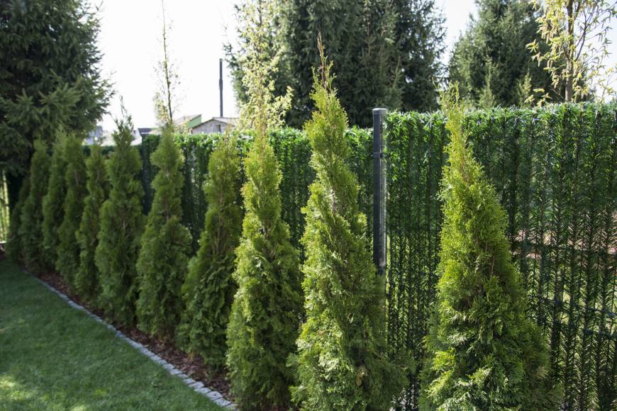 GreenFences – najlepsza osłona na ogrodzenie